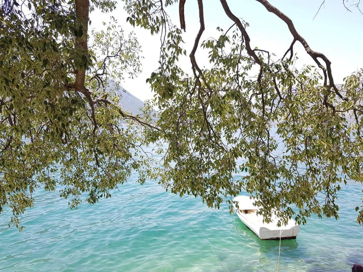 Montenegro Apartmant's Cattaro Esterno foto