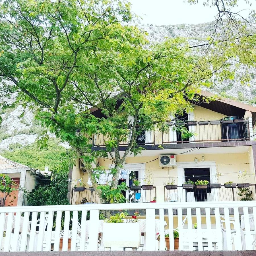 Montenegro Apartmant's Cattaro Esterno foto