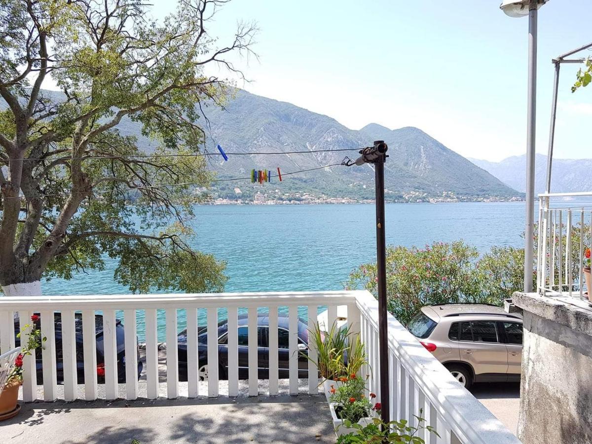 Montenegro Apartmant's Cattaro Esterno foto