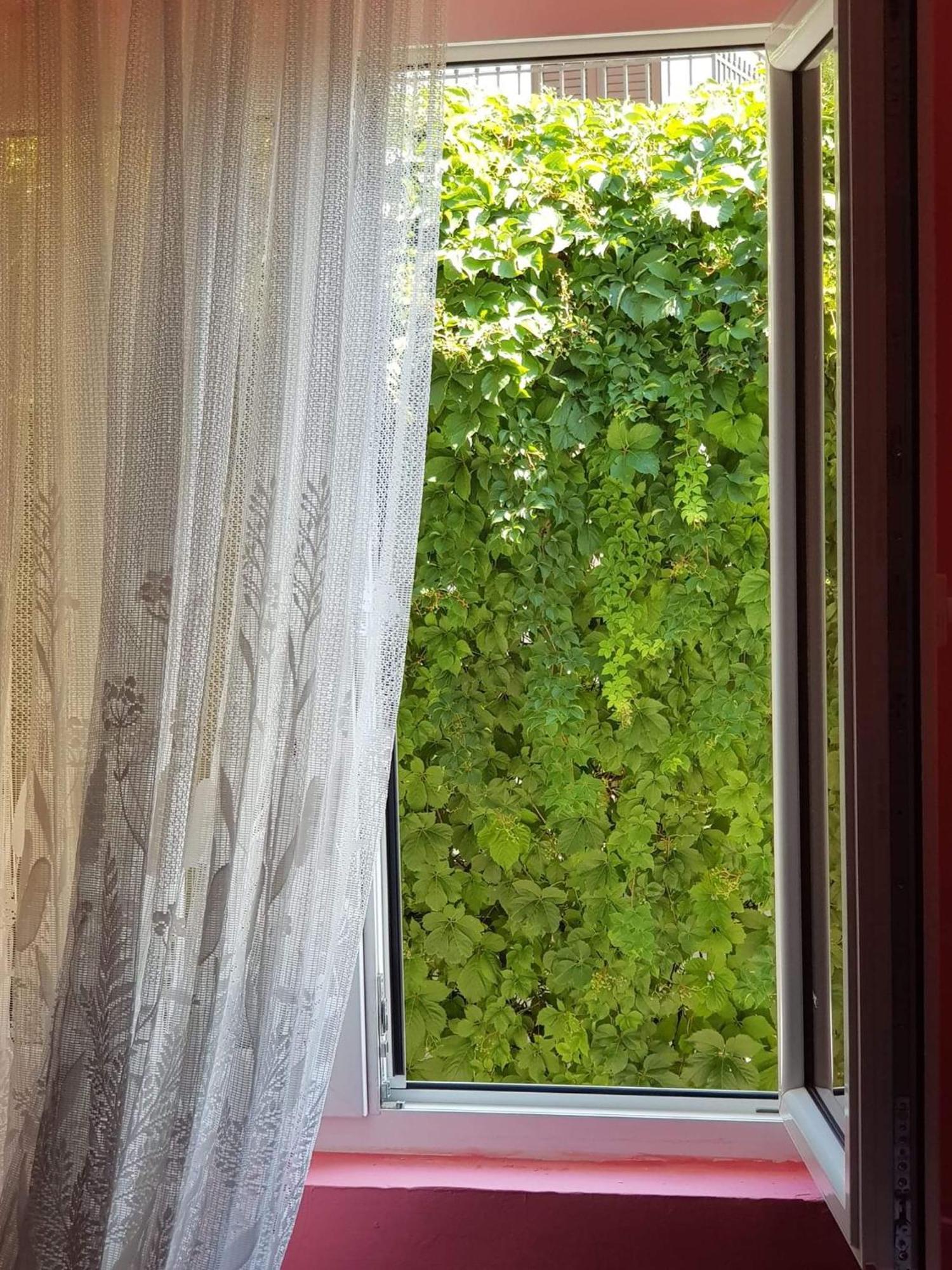 Montenegro Apartmant's Cattaro Camera foto
